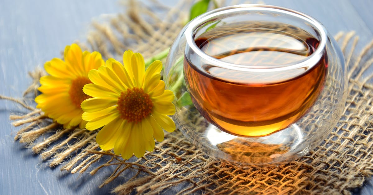Natural Herbal Drink to Support Glucose, Blood Pressure, and Circulation Balance