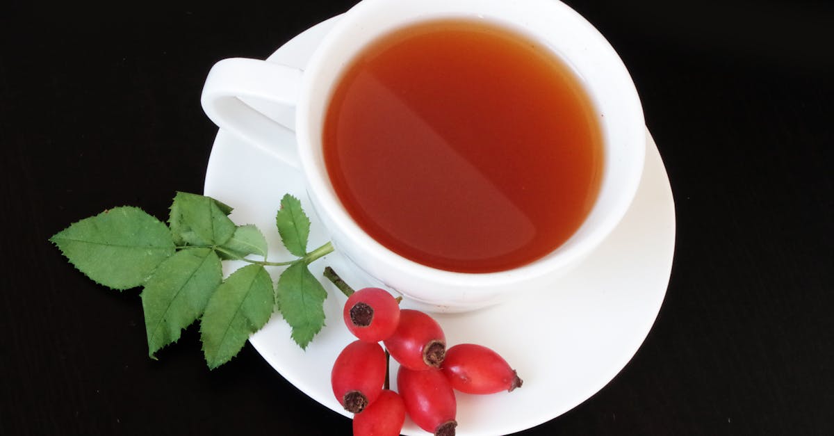 Mimosa Pudica Infusion: A Simple Evening Ritual for Body and Mind Relaxation