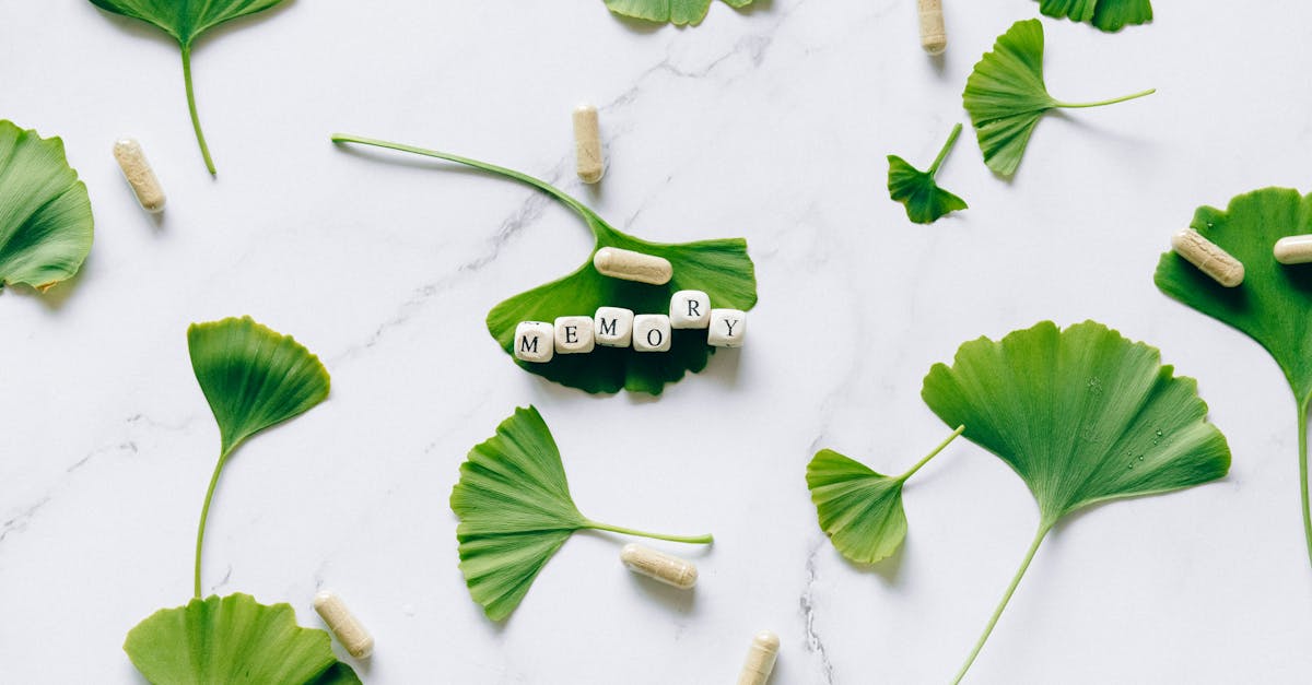 The Remarkable Benefits of Euphorbia Thymifolia: Rediscovering a Forgotten Herbal Ally