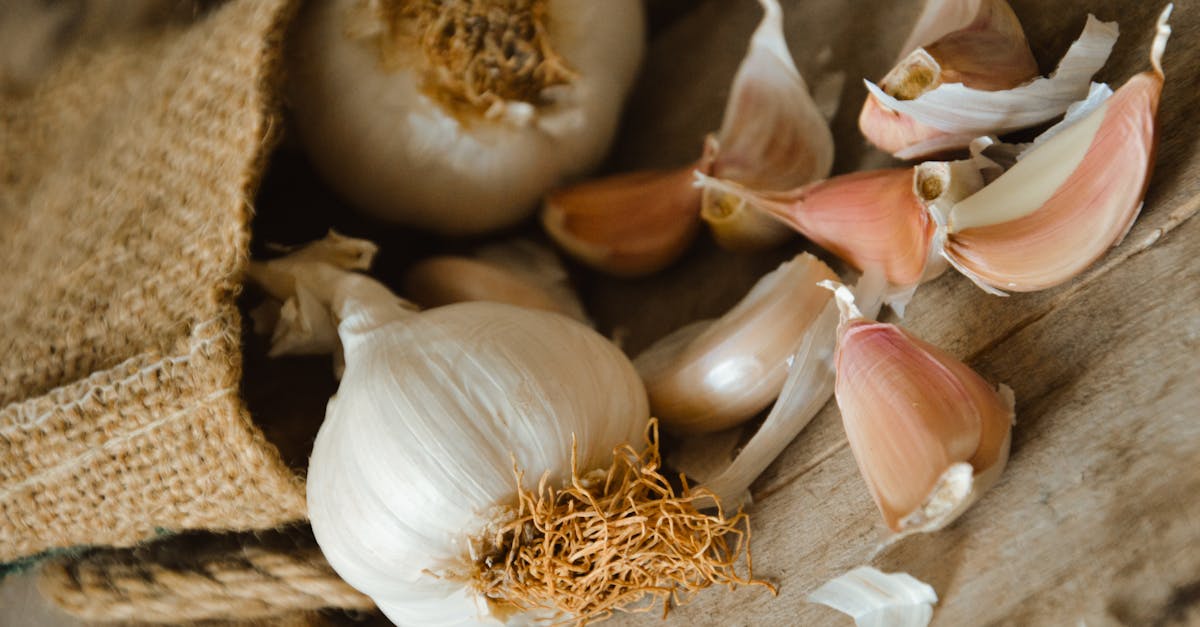 Garlic and Honey: The Ancient Combination Your Body Might Be Craving
