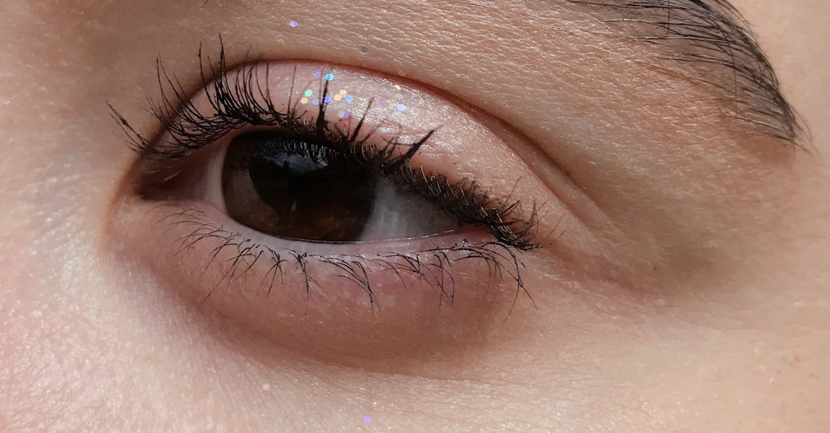 Unlocking the Subtle Power of Clove for Hair, Eyelashes, and Eyebrow Growth