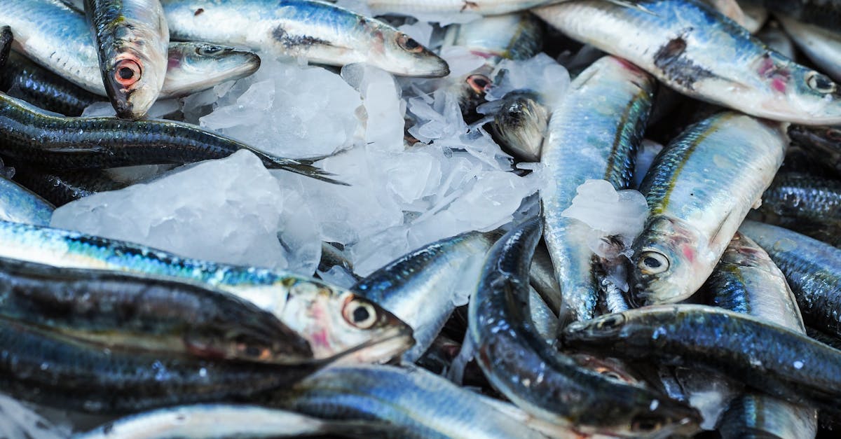 10 Foods That May Help Support Your Cells After 60, According to an Oncologist