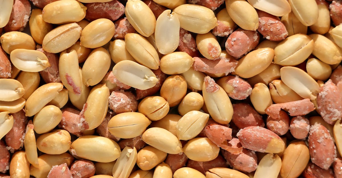 What Doctors Really Say About Peanuts and Your Body: Facts, Benefits, and Safe Consumption