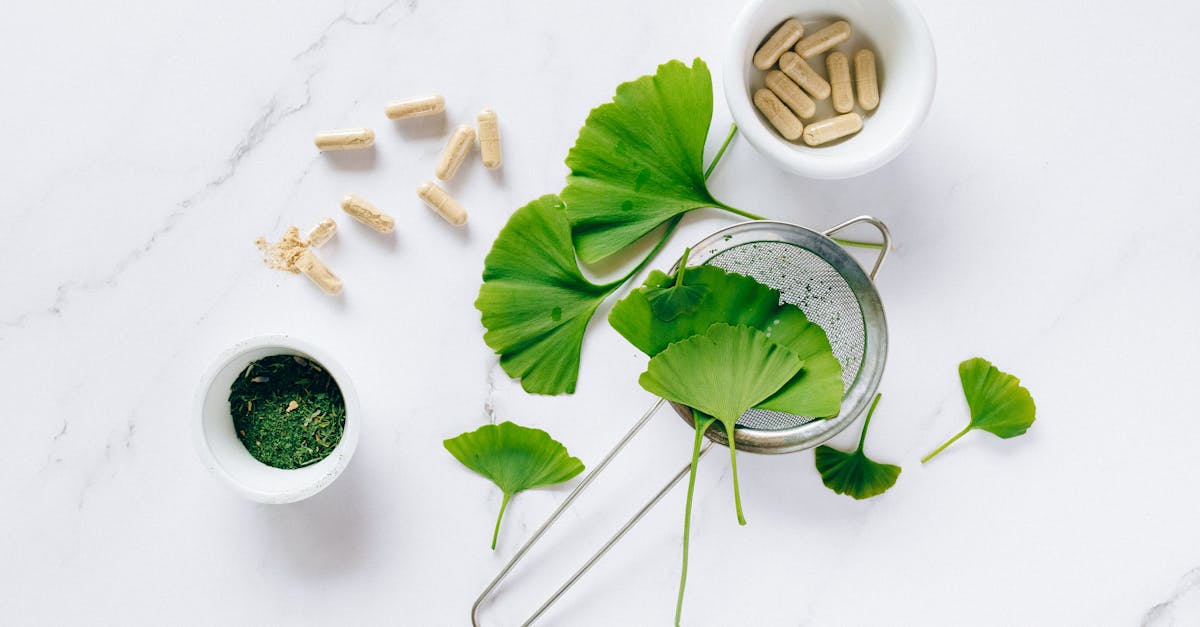 Papaya Leaves: The Underused Green Remedy with Surprising Benefits