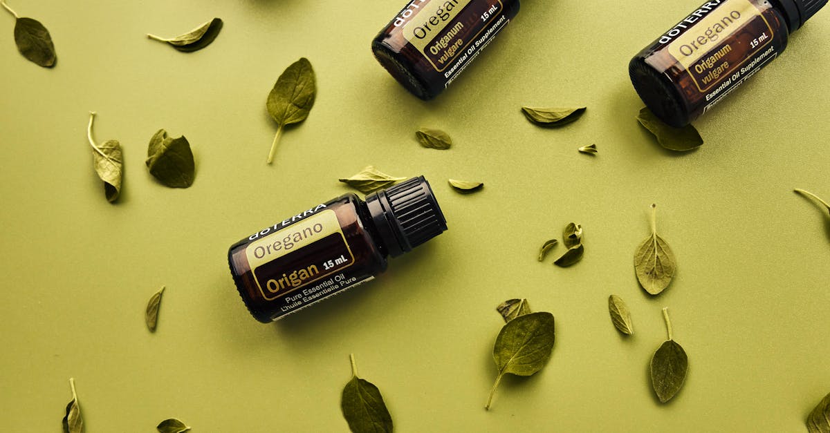 Oregano Orejón and Eye Health: What You Really Need to Know