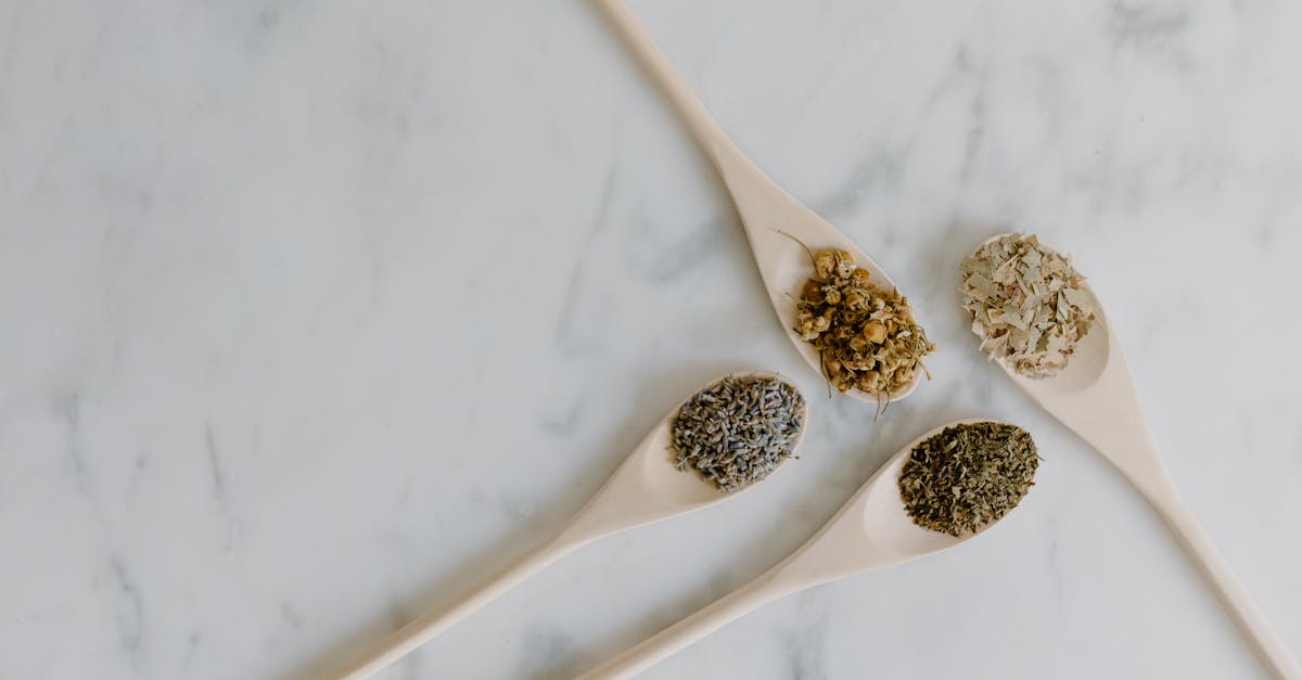 Thyme: The Aromatic Ritual for Soothing Cough, Digestion, and Stress