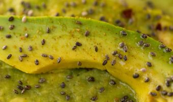 Daily Avocado: The Creamy Habit That Can Transform Your Body