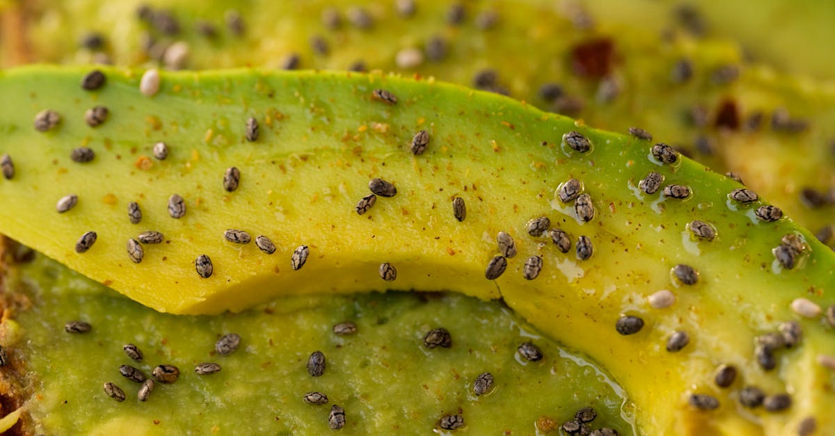 Daily Avocado: The Creamy Habit That Can Transform Your Body