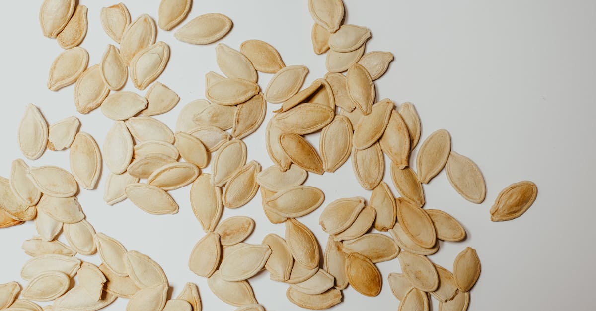 What to Eat Before Bed: Nighttime Foods That May Support Circulation in Seniors