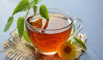 5 Medicinal Plants That May Naturally Support Thyroid Health
