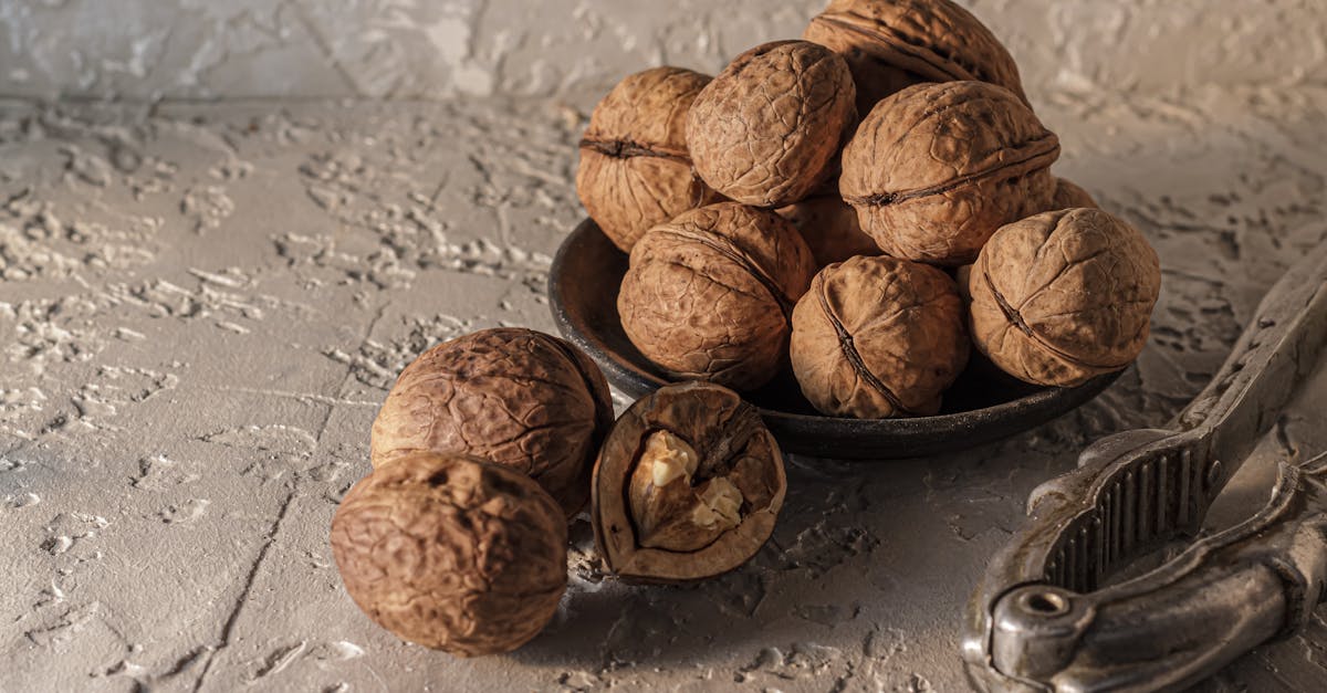 Discover How a Simple Food Like Walnuts Can Enhance Your Daily Wellbeing