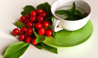 Unlocking the Hidden Benefits of Swallowwort (Yerba de la Golondrina): A Natural Ally for Your Well-being