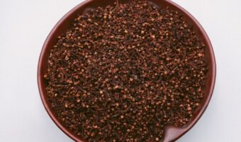 Daily Clove Chewing: Health Benefits and How to Do It Right