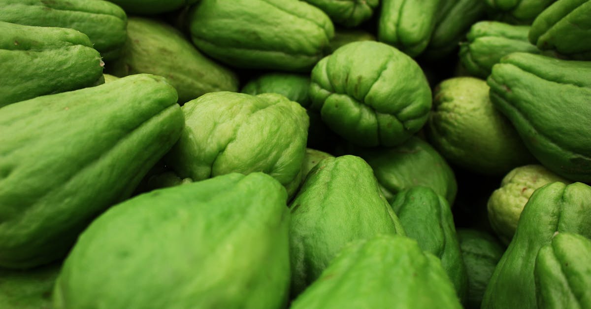 Chayote: The Simple Vegetable That Can Enhance Your Daily Wellbeing