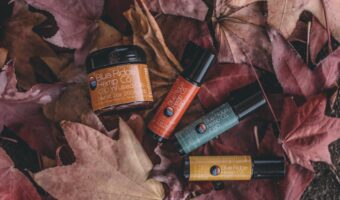 Discover the Benefits of Kalanchoe and Boost Your Wellbeing Naturally