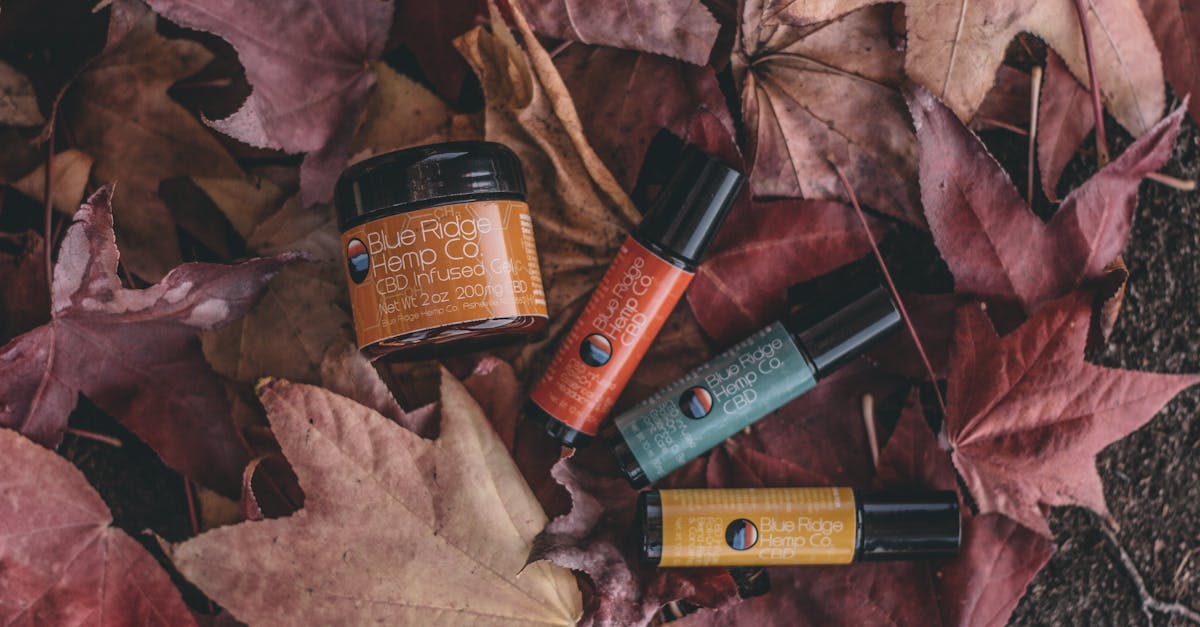 Discover the Benefits of Kalanchoe and Boost Your Wellbeing Naturally