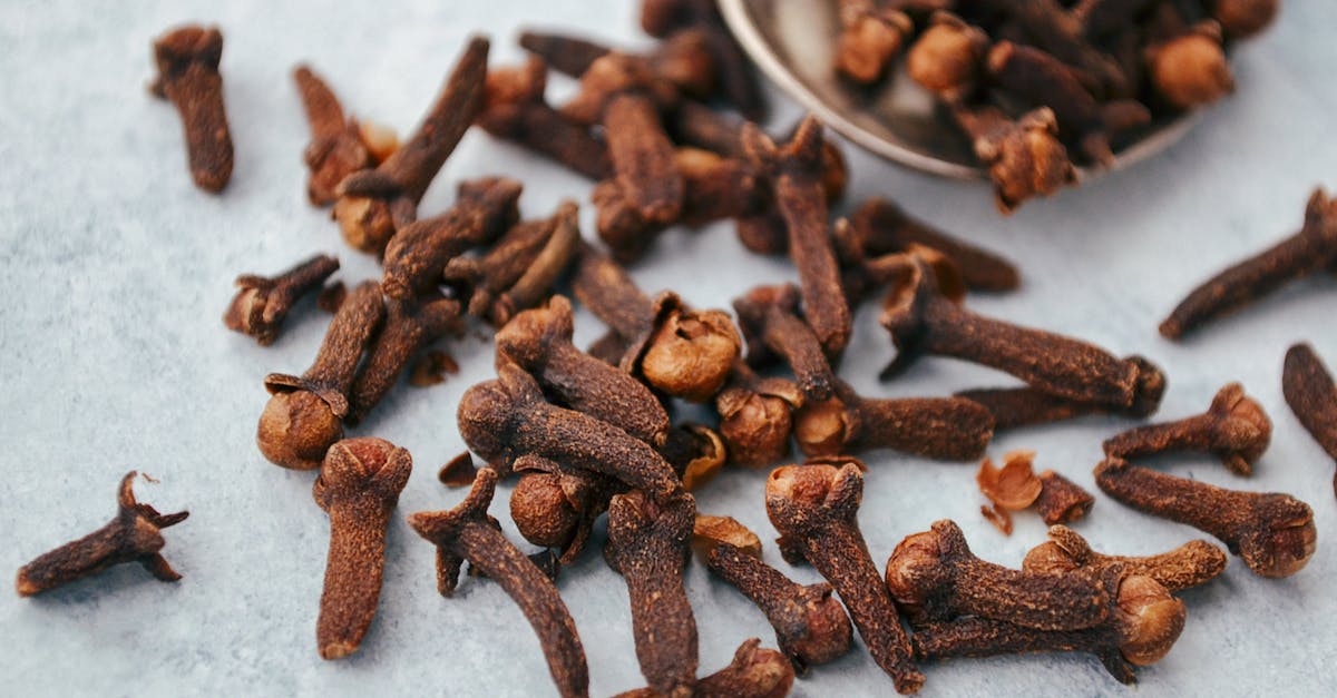 Why Clove Buds Are a Trusted Daily Ritual for Older Adults Seeking Comfort and Wellbeing