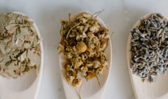 Traditional Herbal Tea: The Ancient Recipe Rediscovered for Relaxation and Better Sleep