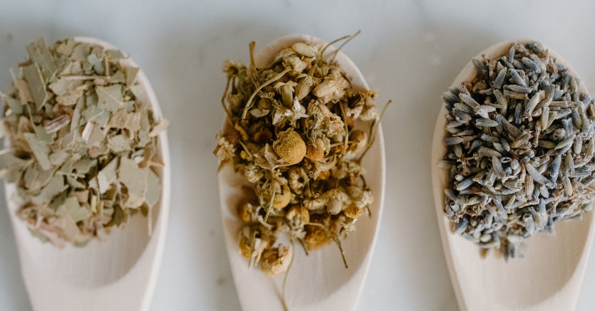 Traditional Herbal Tea: The Ancient Recipe Rediscovered for Relaxation and Better Sleep