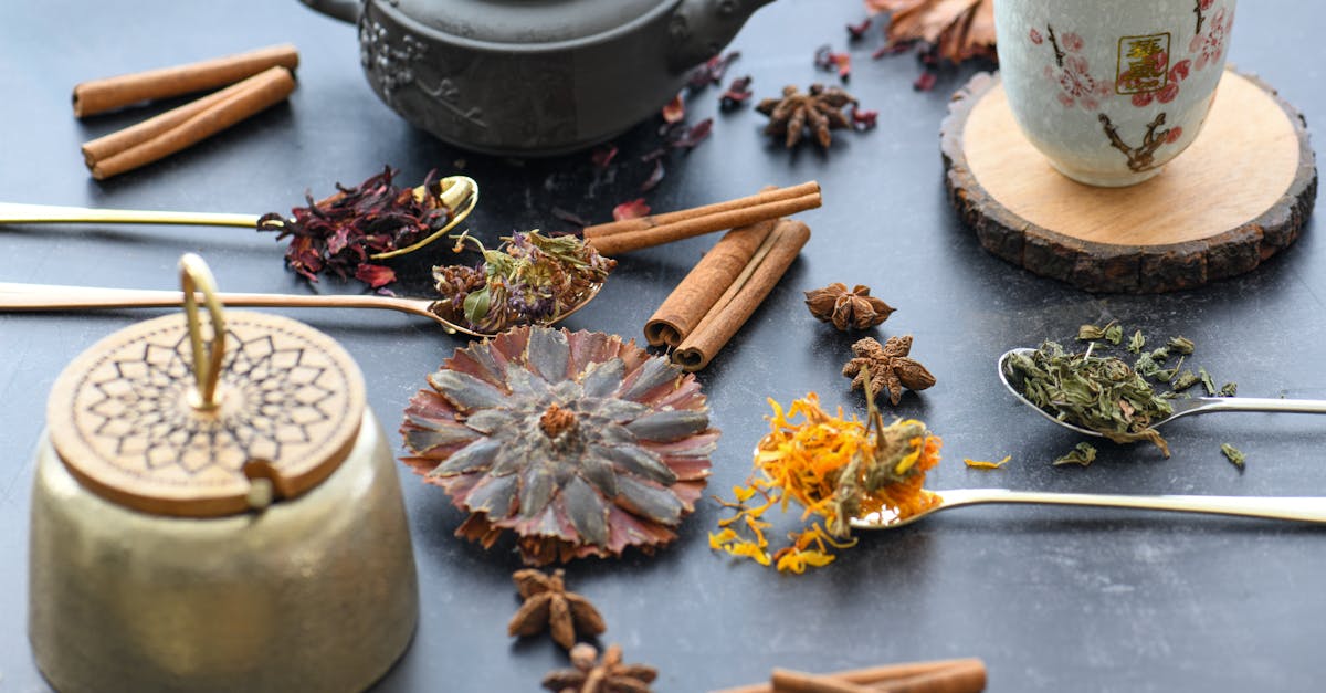 Jamaica, Bay Leaf, and Cinnamon Tea: A Simple Ritual for a More Balanced Afternoon