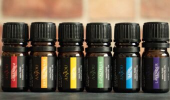 The Gentle Herbal Oil for Tired Eyes: Rediscovering Its Real Potential