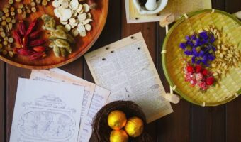 Black Nightshade: Traditional Wisdom and Modern Caution for a Misunderstood Plant
