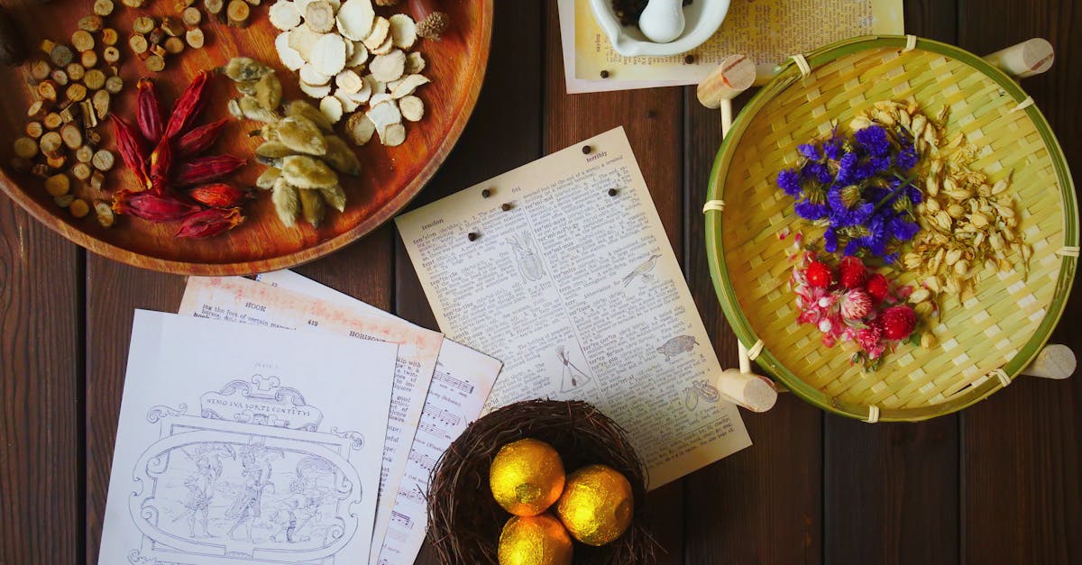 Euphorbia thymifolia: The Overlooked Power of a Humble Medicinal Herb