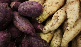 Japanese Longevity Diet: How to Renew Your Cells and Live Better