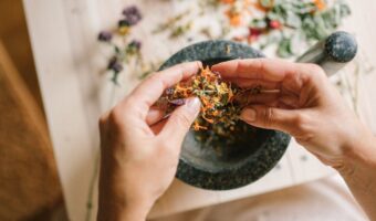 15 Little-Known Ways to Use Goatweed (Ageratum conyzoides) for Everyday Wellness at Home