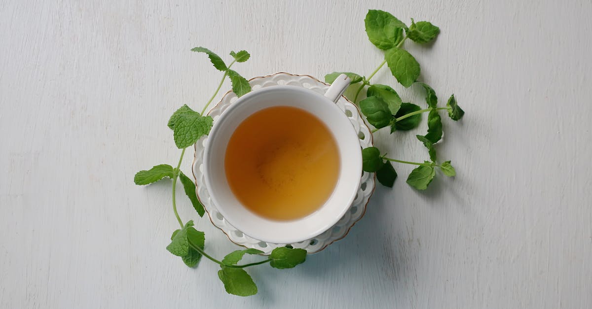 Unlocking the Hidden Benefits of Water Mint for Natural Wellness