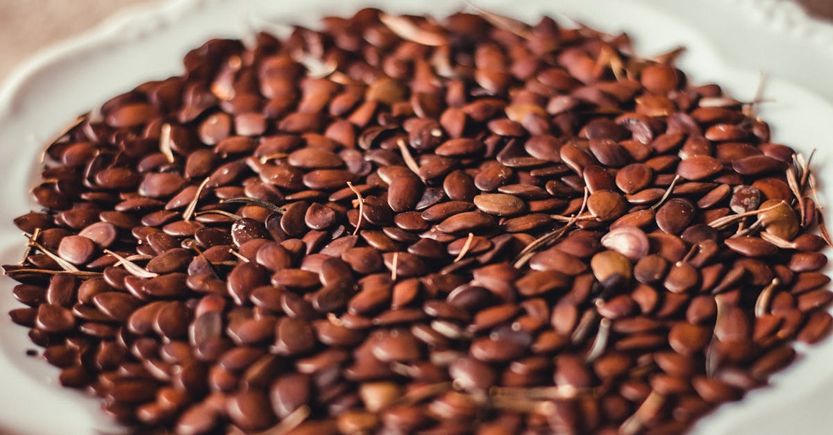 6 Seeds That Support Your Body After 45: A Daily Ritual for Well-Being