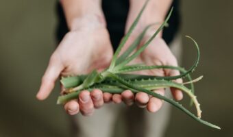 5 Foods That May Help Soothe Stomach Ulcers and Support Healing