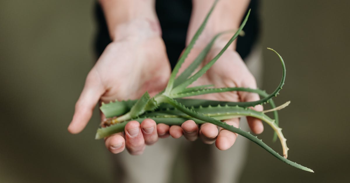 5 Foods That May Help Soothe Stomach Ulcers and Support Healing