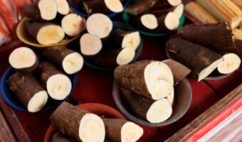 Cassava with Intelligence: Clean Energy and Real Wellness at Your Table