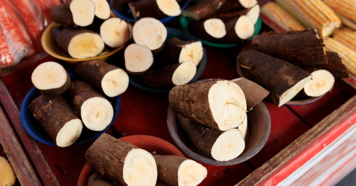 Cassava with Intelligence: Clean Energy and Real Wellness at Your Table