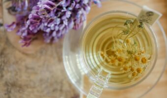 Mimosa Pudica: The Modest Plant That May Soothe Body and Mind
