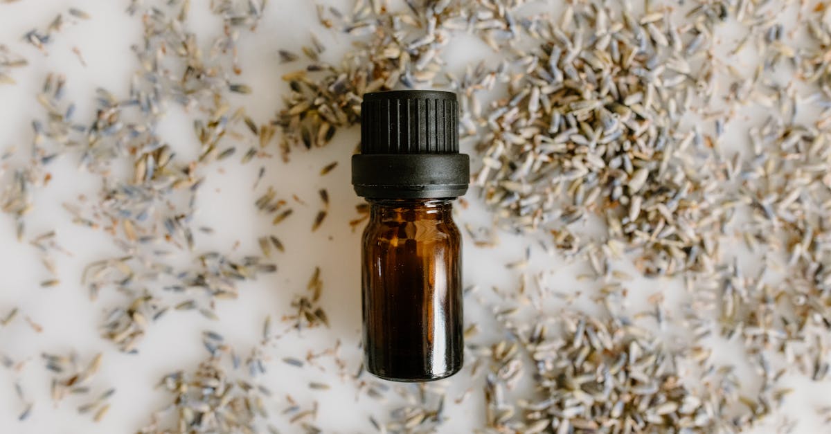 6 Natural Oils That May Support Prostate Health: An Updated Guide