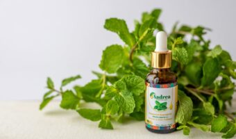 Peppermint: The Fresh Scent That Soothes Your Stomach, Clears Airways, and Calms Your Mind