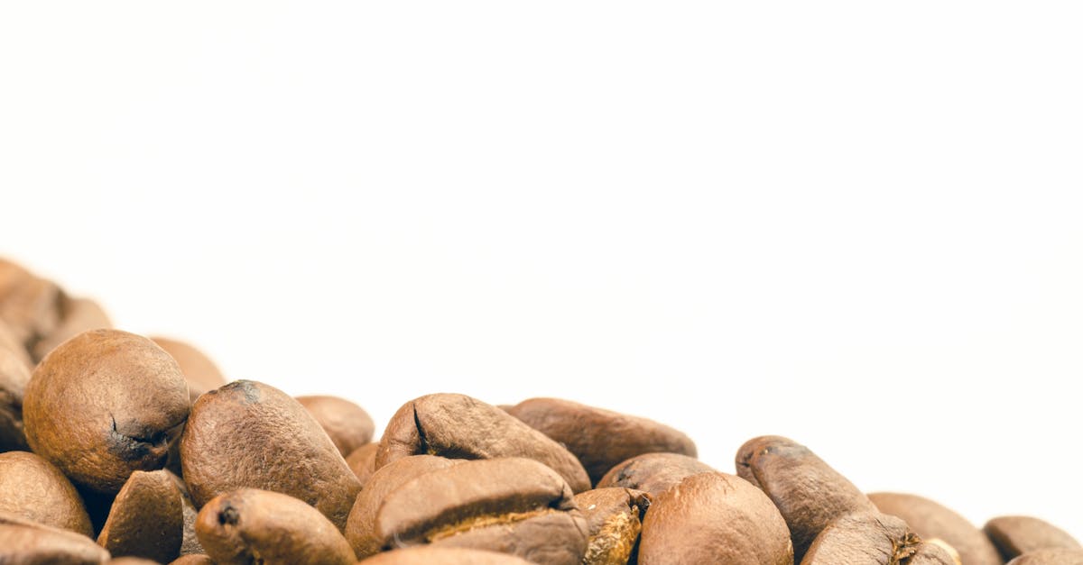 The Simple Coffee and Ginger Ritual That Revitalizes Energy and Connection After 60