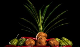 Discover Chayote: The Understated Squash That Can Improve Your Daily Wellbeing