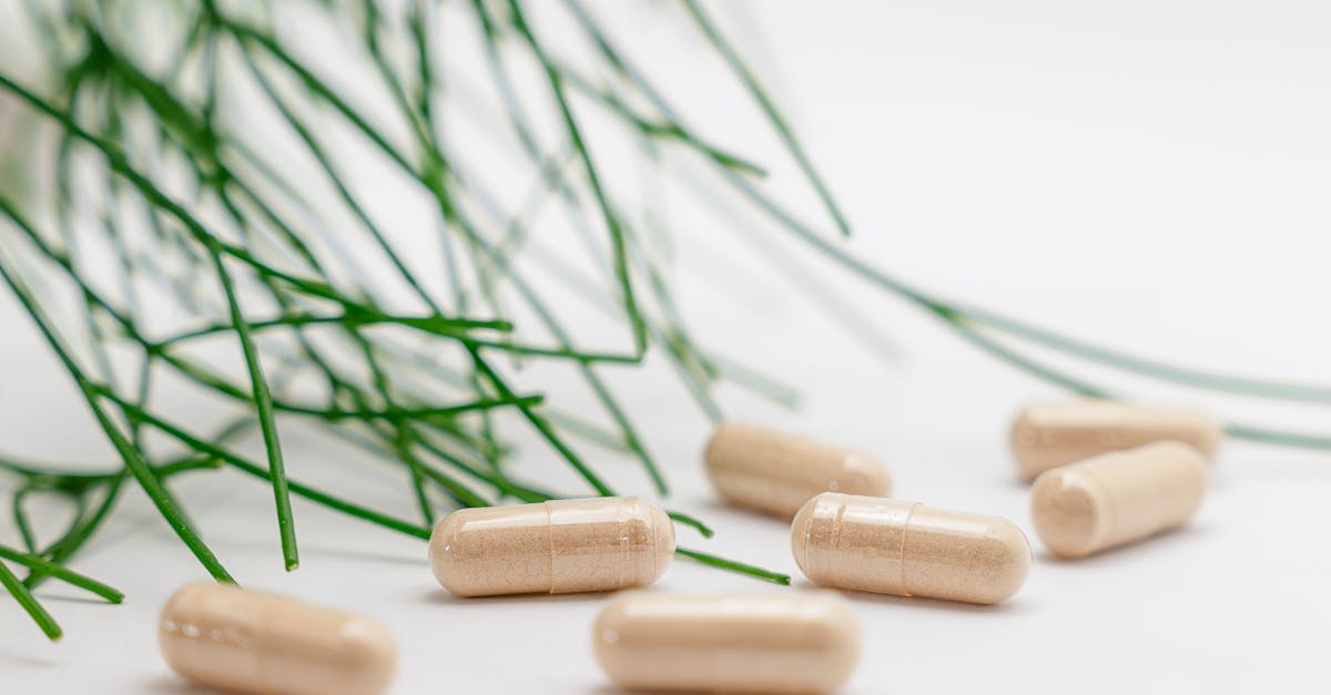 Home Green Pharmacy: 15 Essential Plants for Everyday Well-being