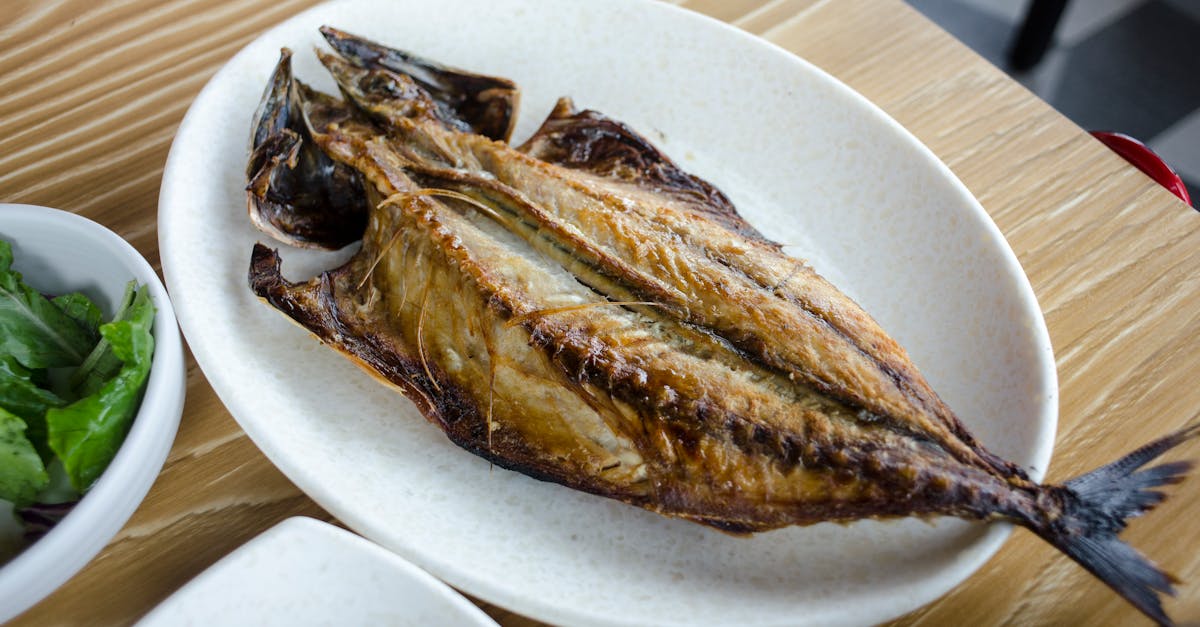 After 82: Is Fried Fish Really Helping Your Health? What Seniors Need to Know