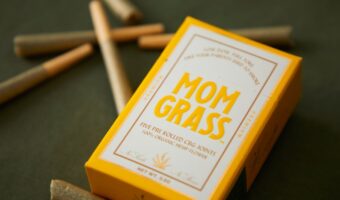 Peppermint and Rosemary for Knee Care: What Helps and What Doesn’t