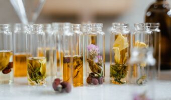 Unlocking the Hidden Power of Oregano: An Aromatic Ritual for Your Wellbeing