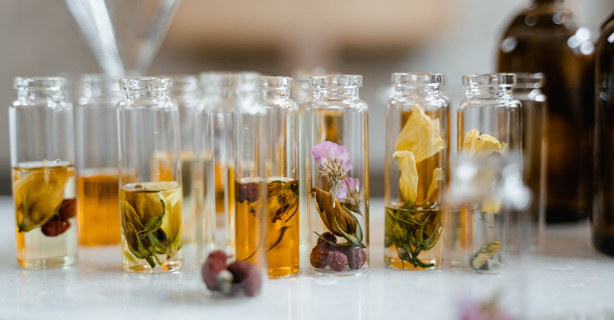 Unlocking the Hidden Power of Oregano: An Aromatic Ritual for Your Wellbeing