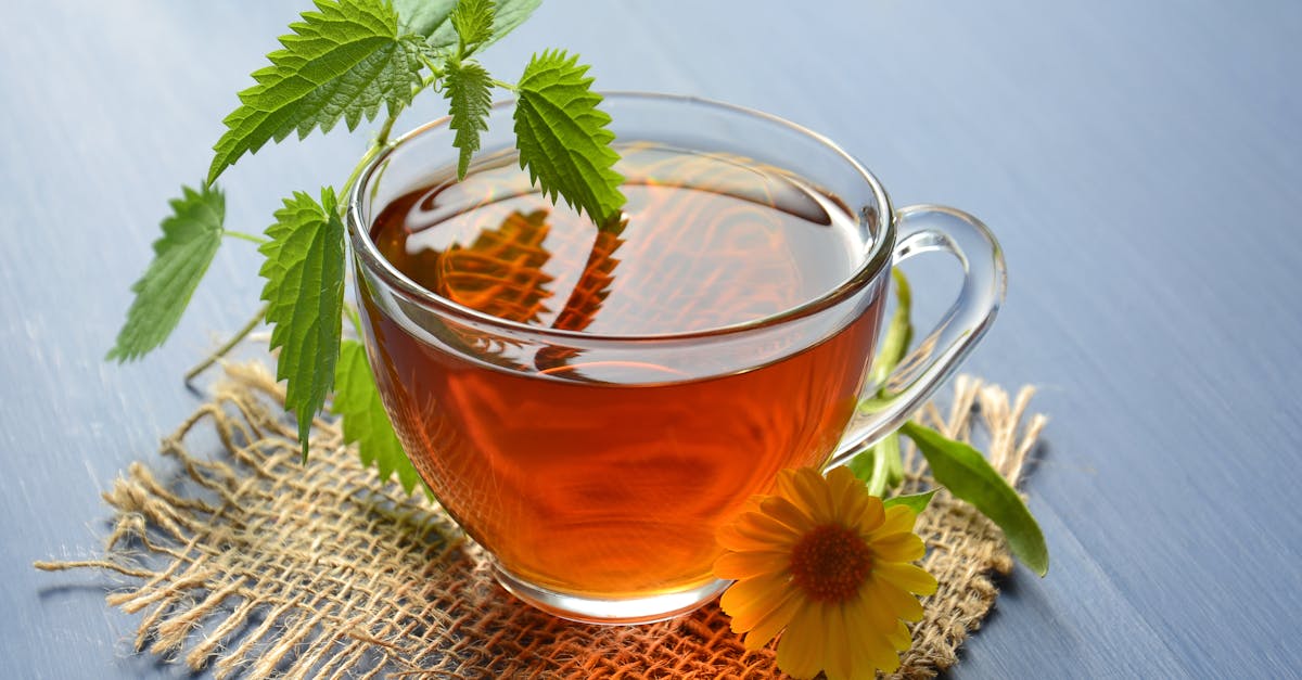 Rediscovering Strong Walking After 60: How Simple Teas Can Support Your Mobility
