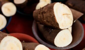 Cassava: How to Benefit from This Surprising Root in Your Diet