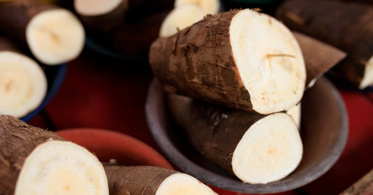 Cassava: How to Benefit from This Surprising Root in Your Diet