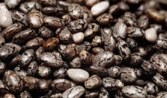 The Garden Weed Unveiling an Omega-3 Superfood Secret