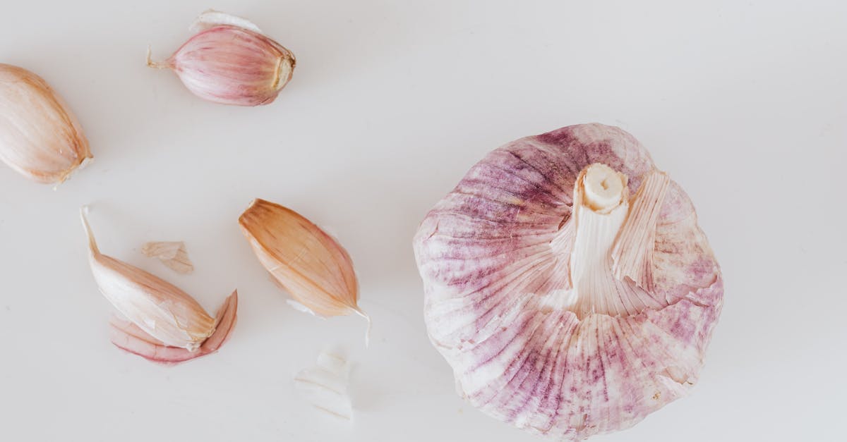 Discover Garlic: The Natural Antibiotic That Could Support Your Daily Health